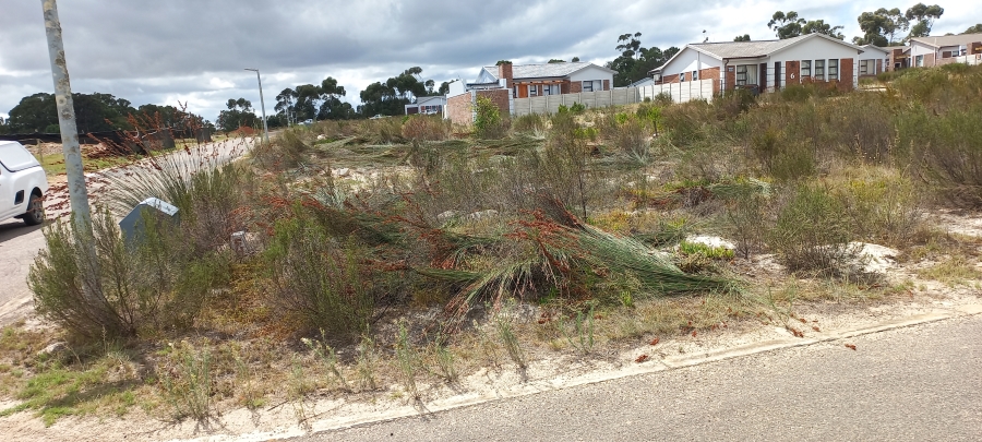 0 Bedroom Property for Sale in Albertinia Western Cape